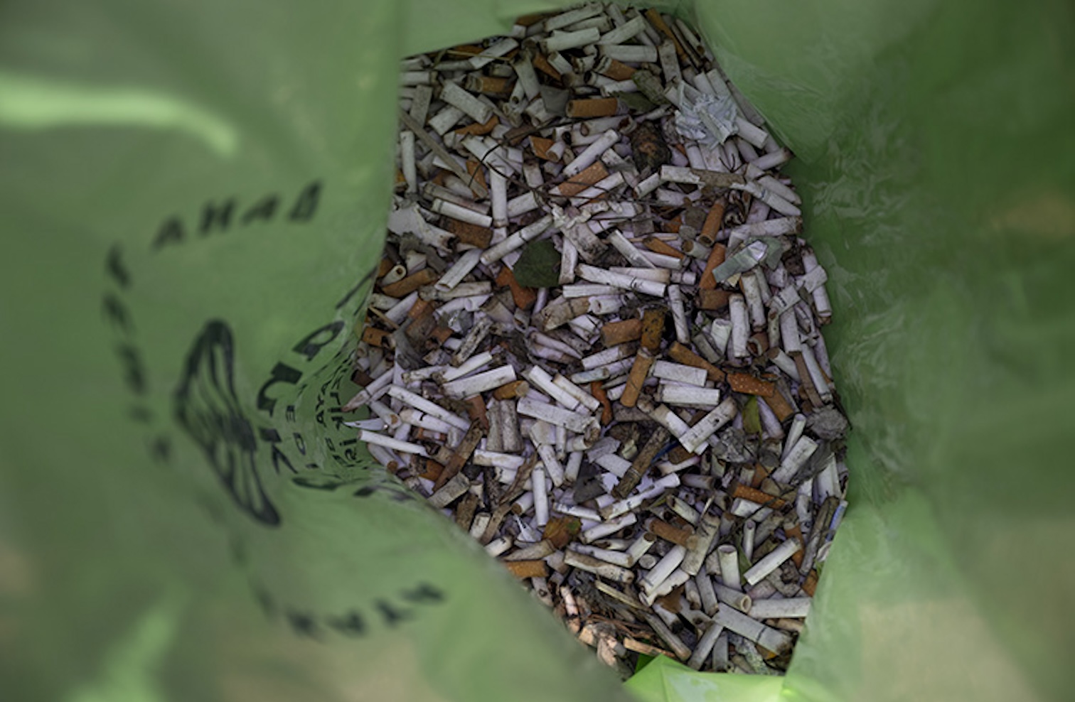 Yere atılan sigara antibiyotik direncini artırıyor