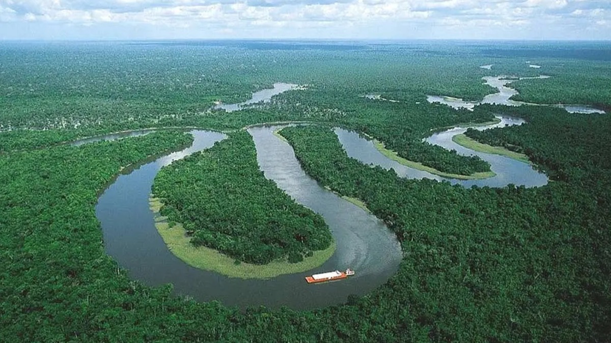 Karbonu emmek için doğa yardımcı
