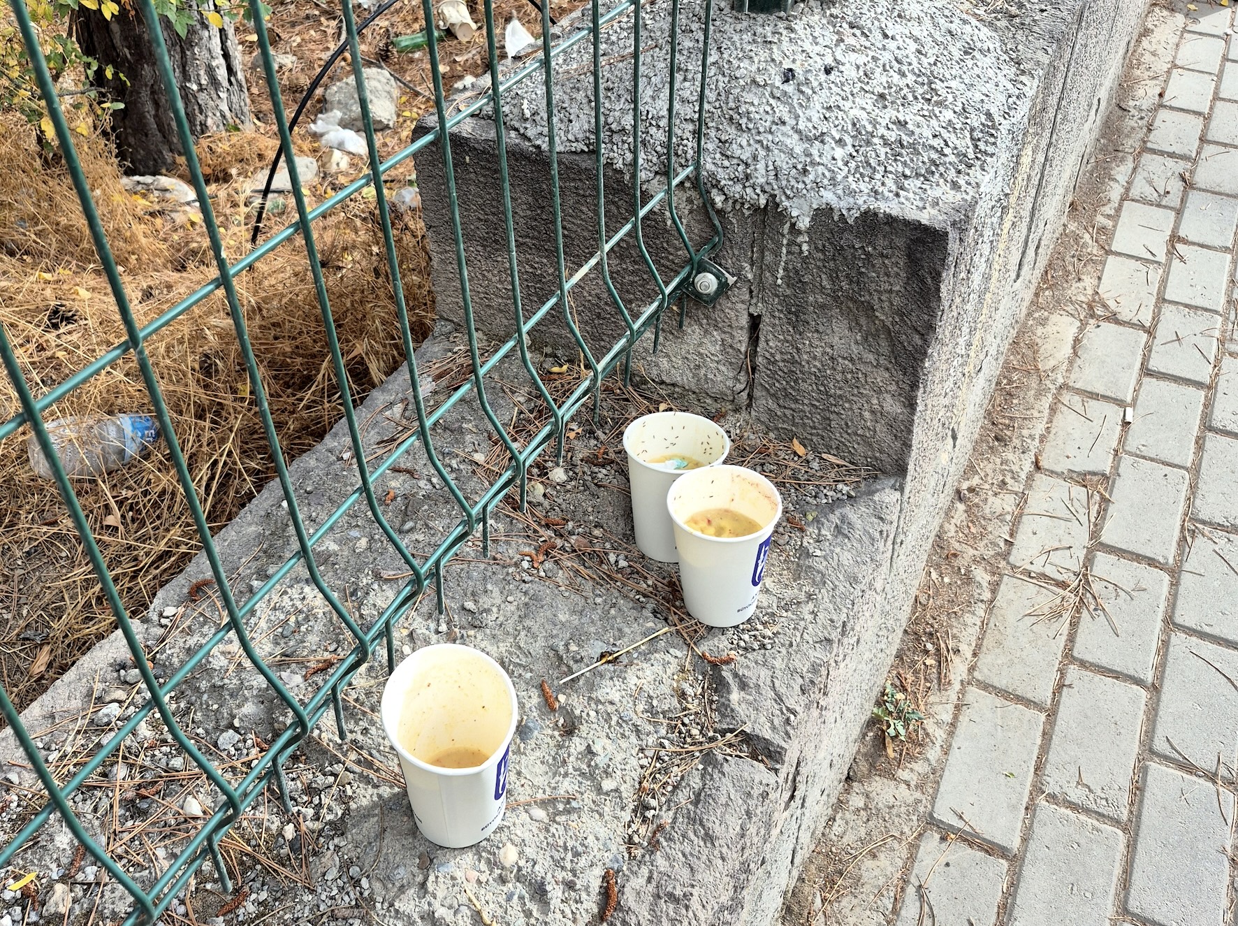 YEDİĞİMİZ KABI KAZANALIM: ÇORBAYLA BİRLİKTE EĞİTİM DE GEREKLİ