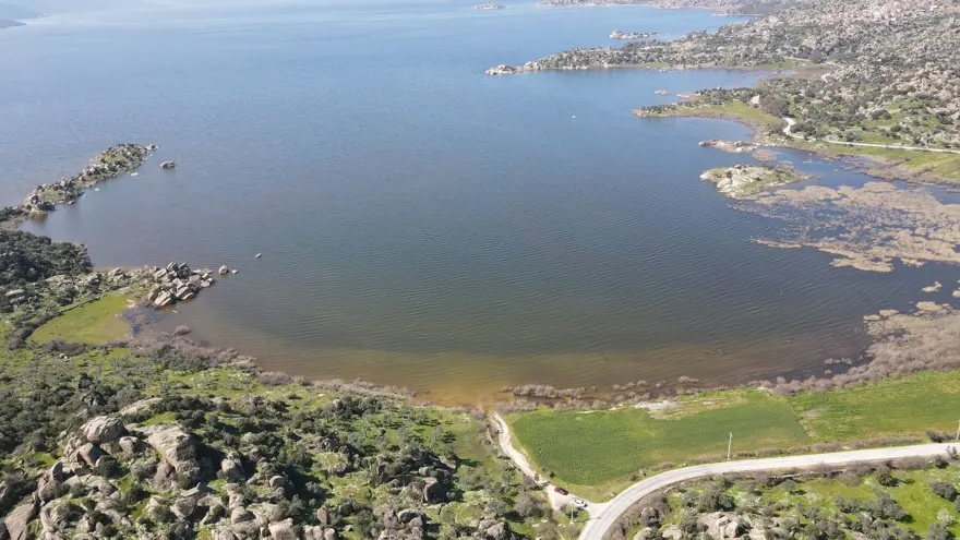 Bafa Gölü geri dönüyor